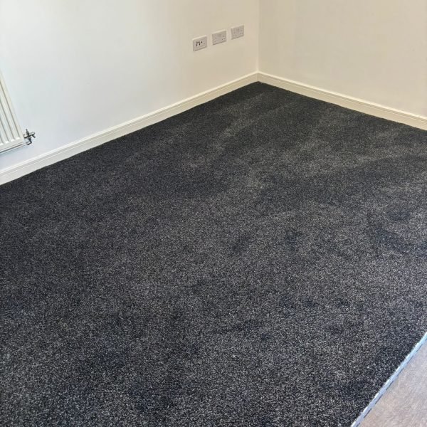 Carters Carpets